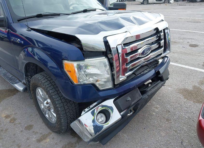 Photo 6 of 2009 Ford F-150 XLT (VIN 1FTRX14829KB33871)