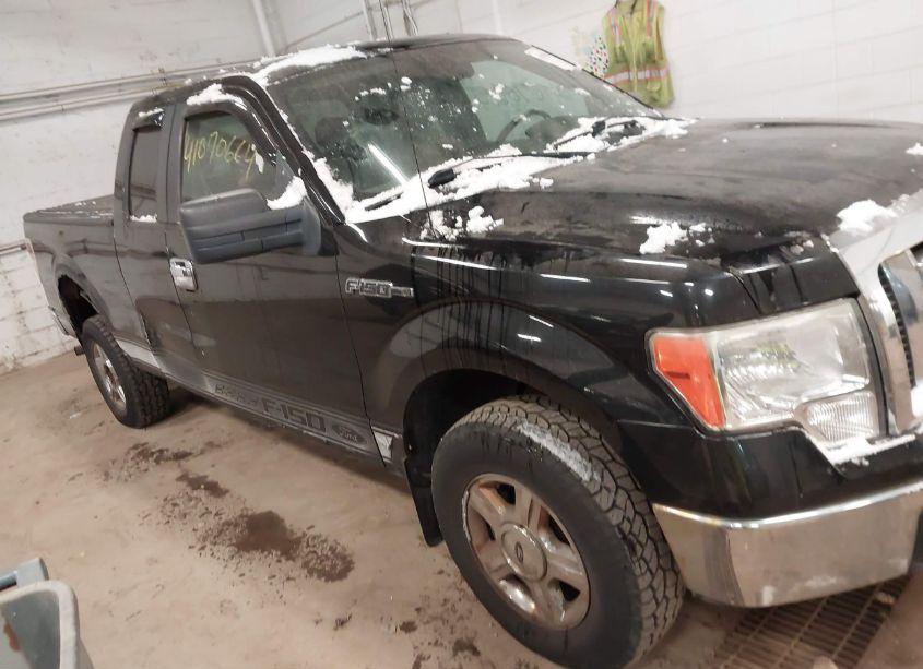 2009 Ford F-150 STX/XL/XLT (VIN 1FTRX14859FB02039) main photo