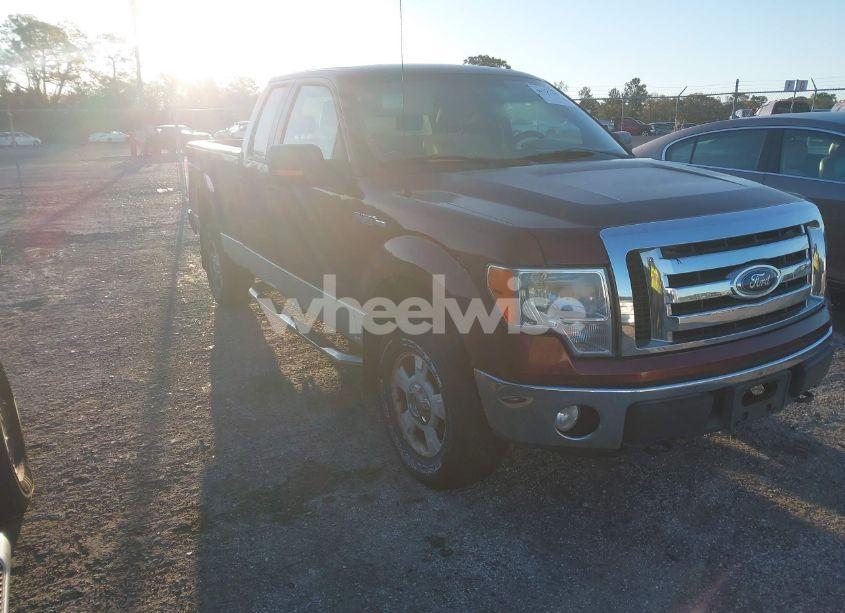 2009 Ford F-150 STX/XL/XLT (VIN 1FTRX14869FB33803) main photo