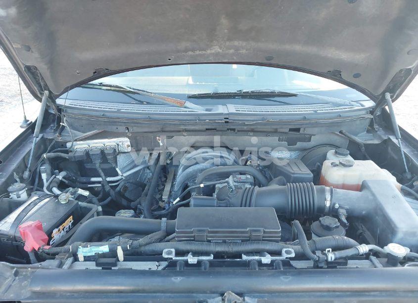 Photo 10 of 2009 Ford F-150 STX/XL/XLT (VIN 1FTRX14869FB33803)