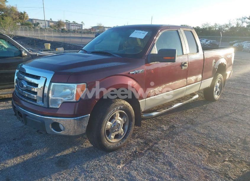 Photo 2 of 2009 Ford F-150 STX/XL/XLT (VIN 1FTRX14869FB33803)
