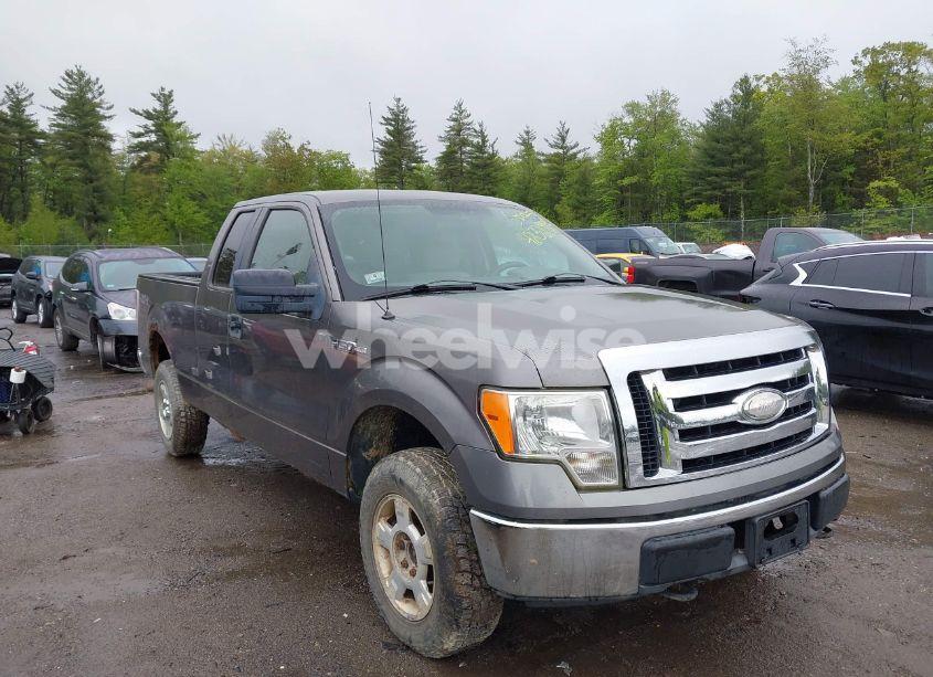 2009 Ford F-150 STX/XL/XLT (VIN 1FTRX14879FB19313) main photo
