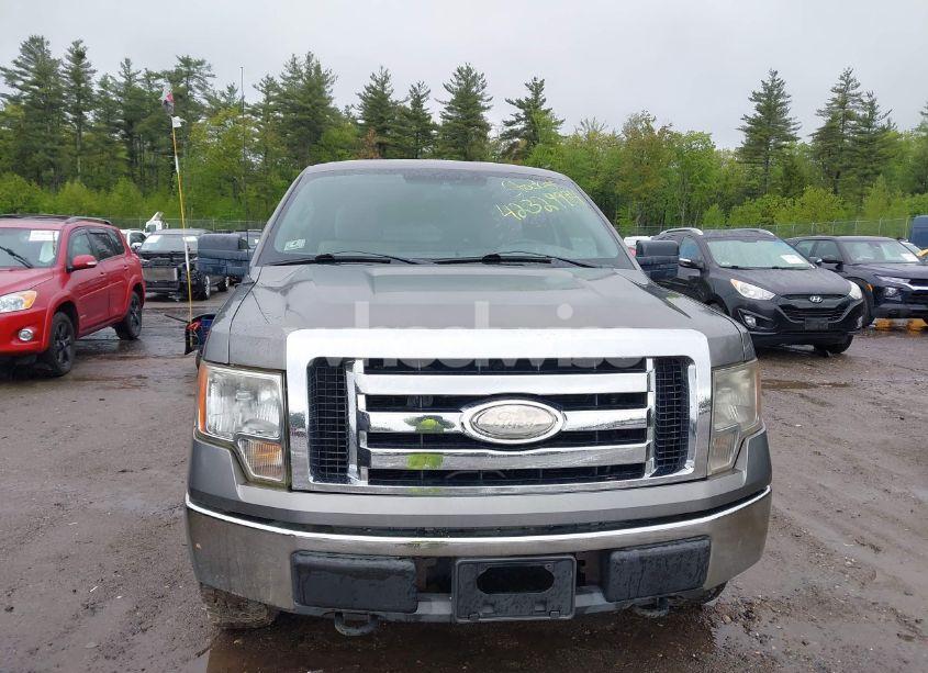 Photo 13 of 2009 Ford F-150 STX/XL/XLT (VIN 1FTRX14879FB19313)