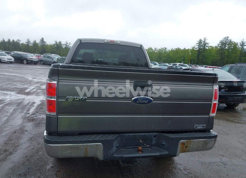 Photo 14 of 2009 Ford F-150 STX/XL/XLT (VIN 1FTRX14879FB19313)