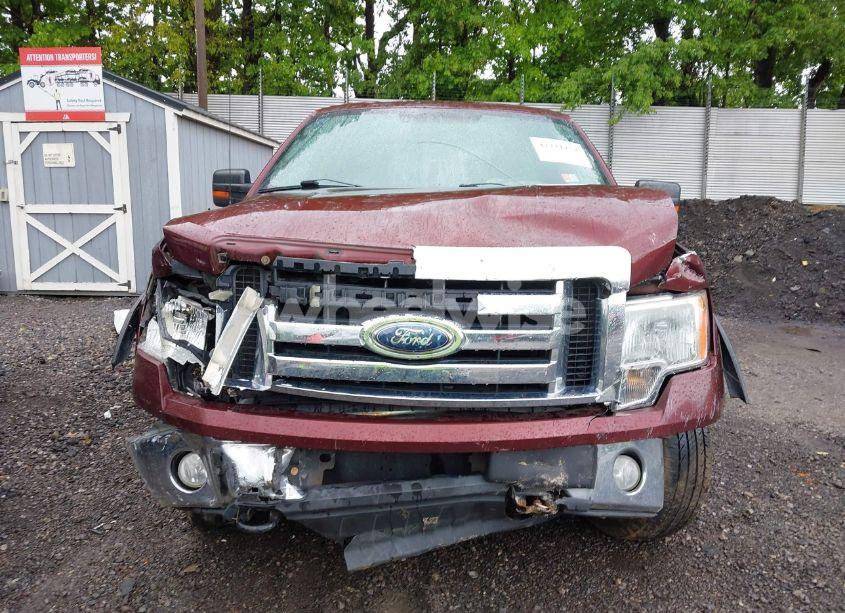 Photo 13 of 2009 Ford F-150 STX/XL/XLT (VIN 1FTRX148X9FB49549)