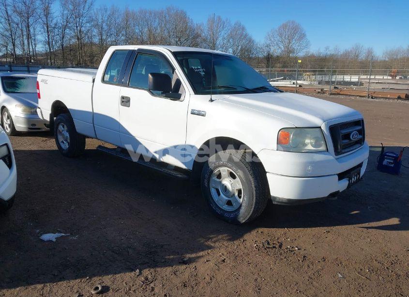 2004 Ford F-150 STX/XL/XLT (VIN 1FTRX14W94NB40290) main photo