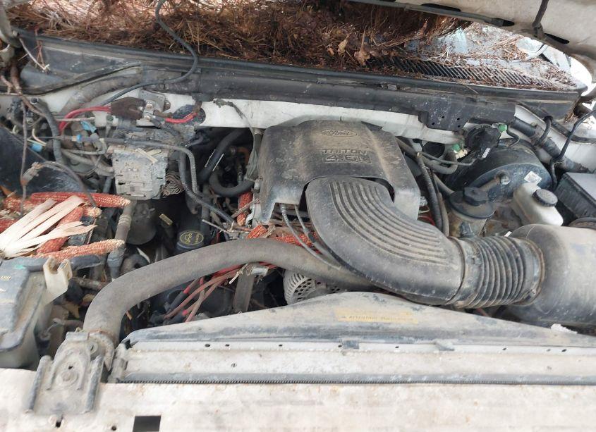 Photo 10 of 1999 Ford F-150 LARIAT/WORK SERIES/XL/XLT (VIN 1FTRX18W9XNA51186)