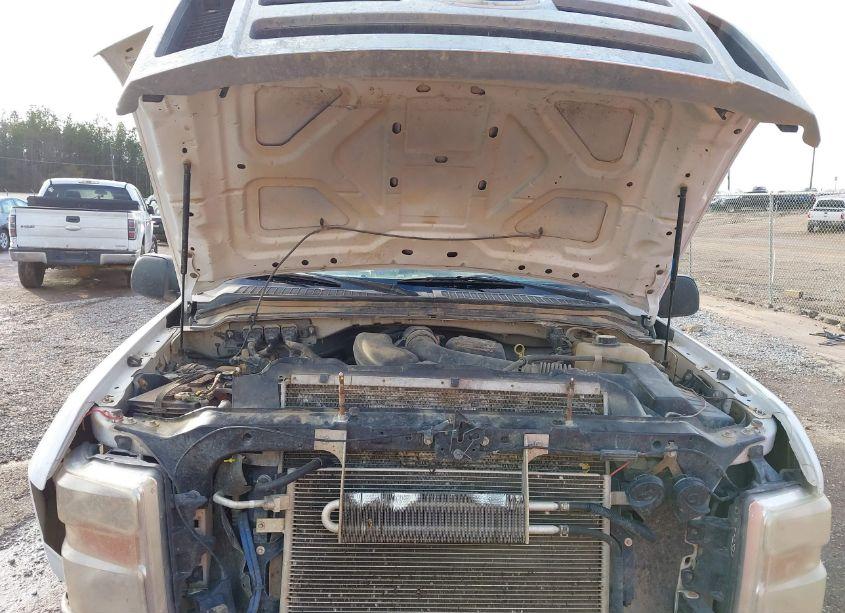 Photo 10 of 2008 Ford F-250 FX4/KING RANCH/LARIAT/XL/XLT (VIN 1FTSW21558ED87642)