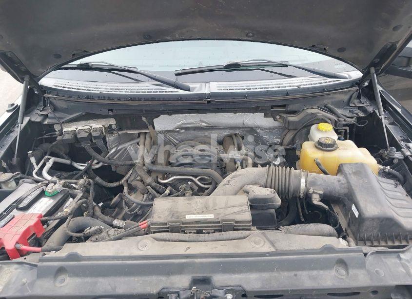 Photo 10 of 2014 Ford F-150 XLT (VIN 1FTVW1EF8EKD34781)