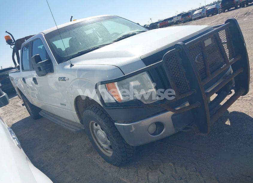 2013 Ford F-150 XL (VIN 1FTVW1ET0DKE98319) main photo