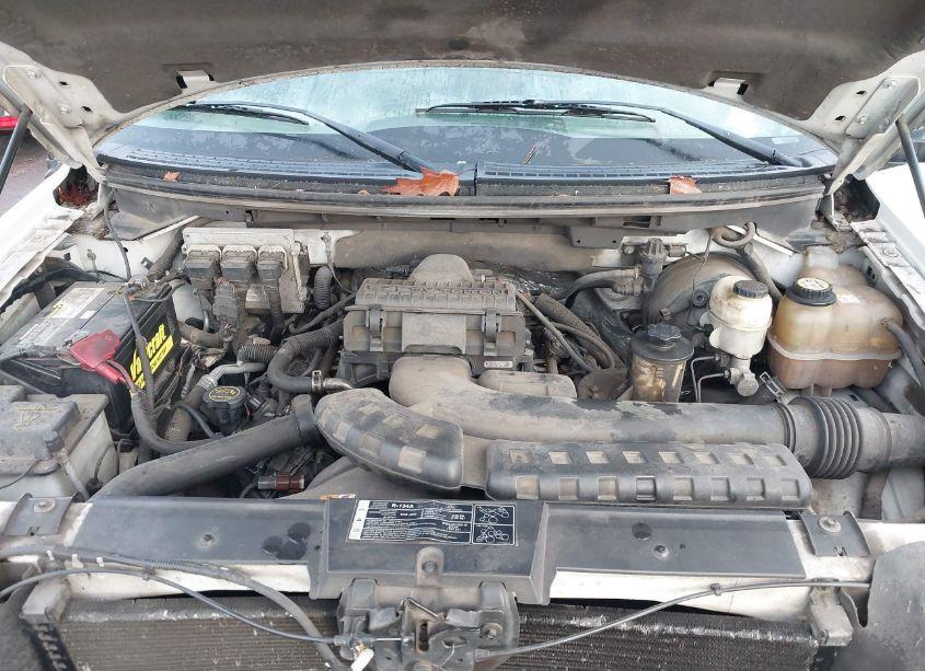 Photo 10 of 2008 Ford F-150 XL/XLT (VIN 1FTVX12568KD19063)