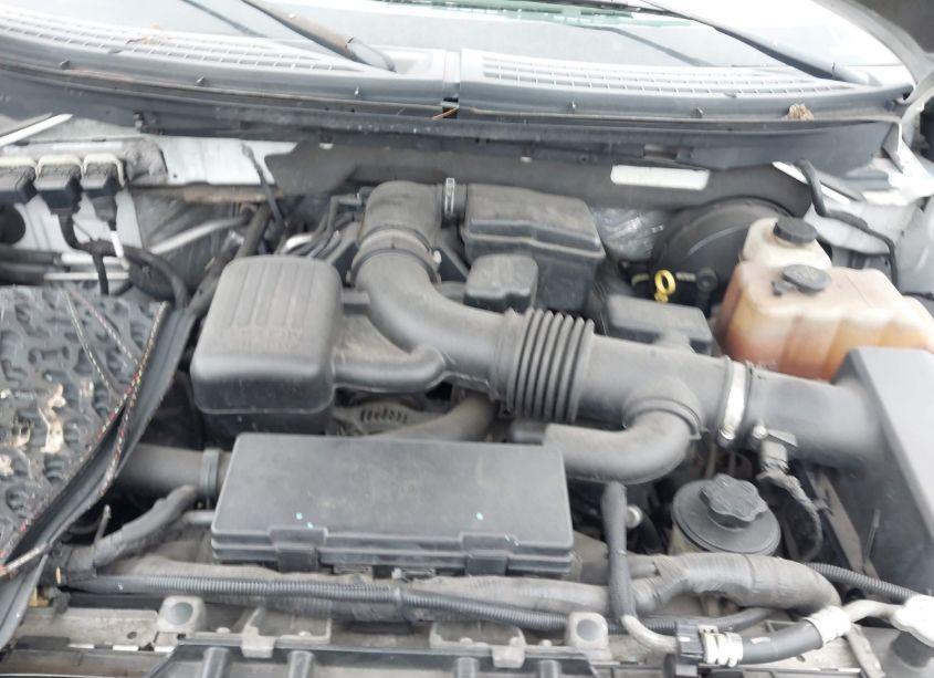 Photo 10 of 2009 Ford F-150 XL/XLT (VIN 1FTVX12V49KB98695)