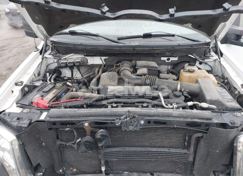 Photo 10 of 2010 Ford F-150 XL/XLT (VIN 1FTVX1CV0AKE21057)