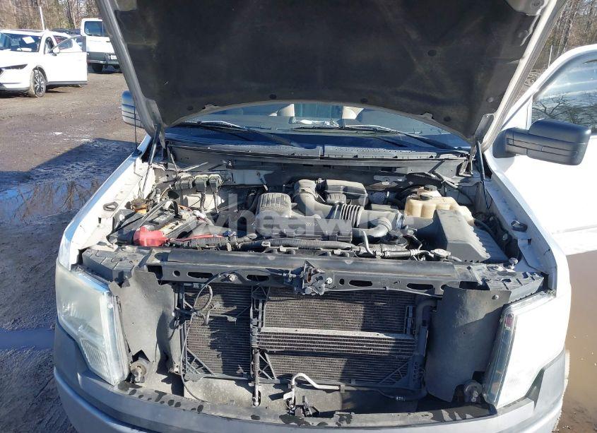 Photo 10 of 2010 Ford F-150 XL (VIN 1FTVX1CV9AKE41615)