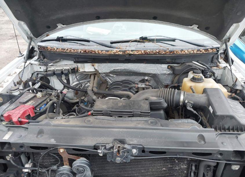 Photo 10 of 2012 Ford F-150 XL (VIN 1FTVX1EF2CKE28276)