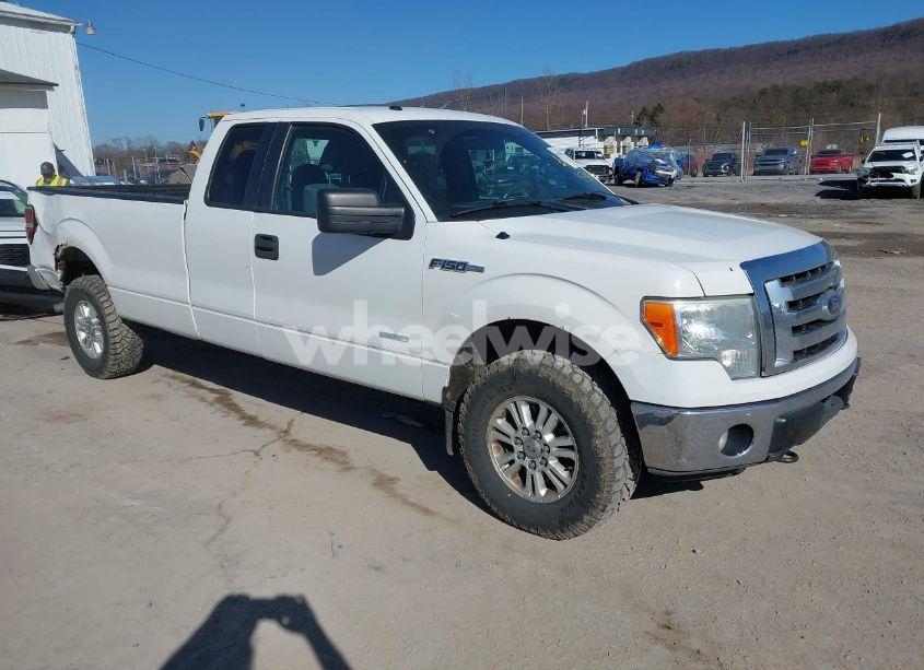 2011 Ford F-150 XLT (VIN 1FTVX1ET9BKD54343) main photo