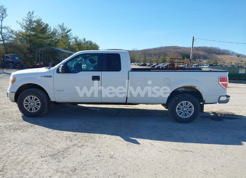 Photo 14 of 2011 Ford F-150 XLT (VIN 1FTVX1ET9BKD54343)