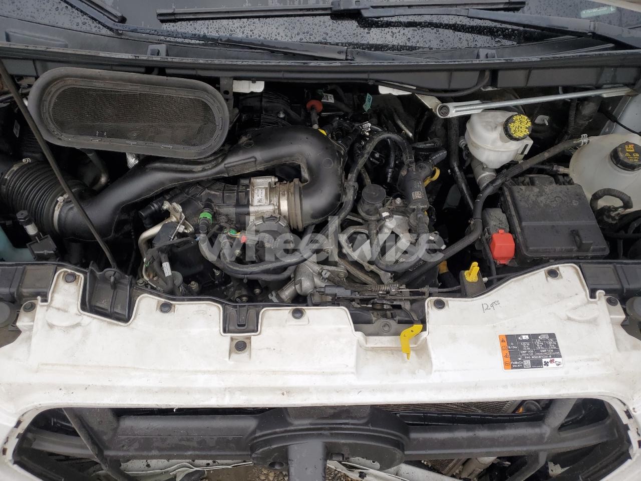 Photo 12 of 2023 FORD TRANSIT T-150 N/A (VIN 1FTYE1Y86PKC12131)