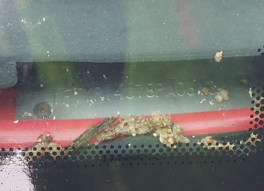 Photo 9 of 2008 Ford Ranger SPORT/XL/XLT (VIN 1FTYR14U78PA06134)