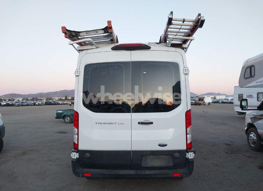 Photo 16 of 2019 Ford Transit-250 (VIN 1FTYR2CM6KKB54755)