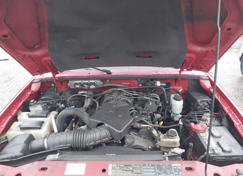 Photo 10 of 2009 Ford Ranger FX4 OFF-ROAD/SPORT/XLT (VIN 1FTZR45E19PA23266)