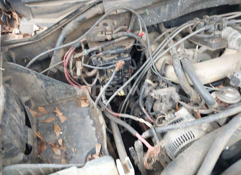 Photo 12 of 1999 Ford F-150 WORK SERIES/XL/XLT (VIN 1FTZX172XXNA38770)