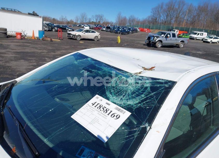 Photo 6 of 2016 Chevrolet Malibu LIMITED 1FL (VIN 1G11A5SA2GU139689)