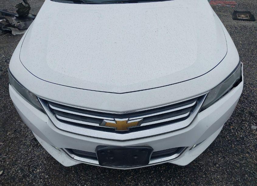 Photo 12 of 2019 Chevrolet Impala LT (VIN 1G11Z5SA2KU134087)