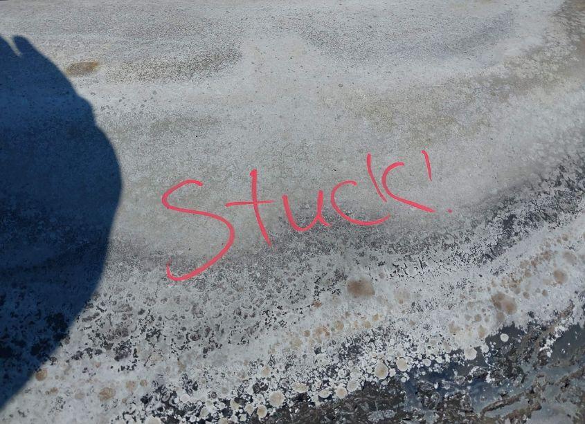 Photo 10 of 2006 Chevrolet Cobalt LS (VIN 1G1AK15F267816251)