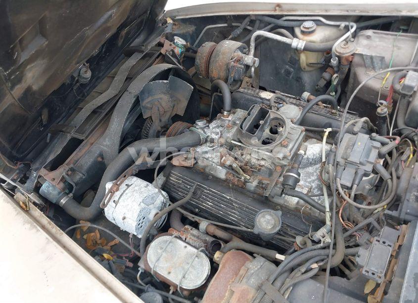 Photo 10 of 1982 Chevrolet Corvette (VIN 1G1AY0781C5107793)