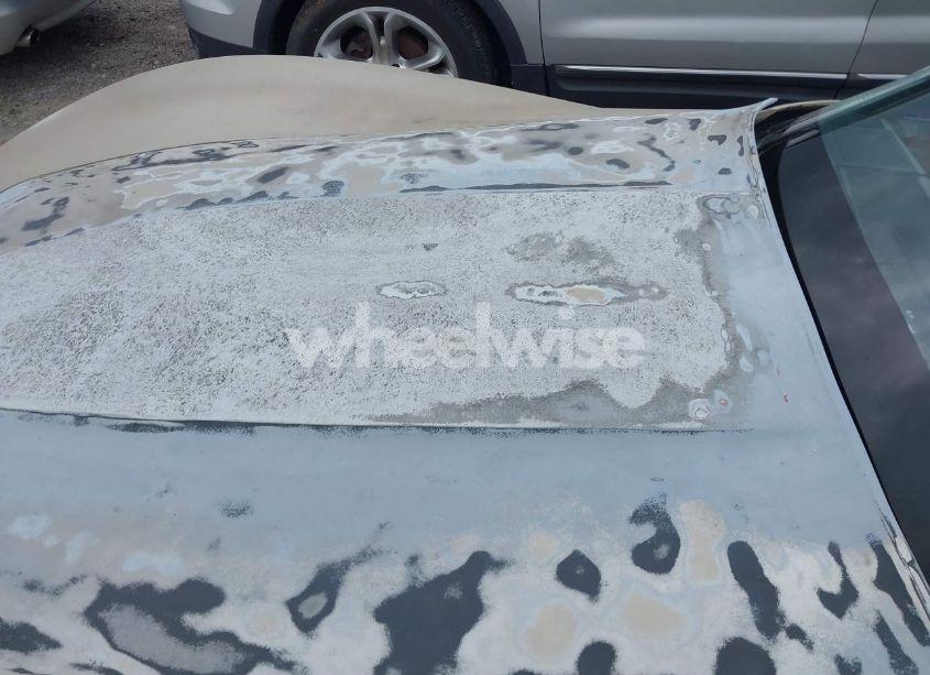 Photo 17 of 1982 Chevrolet Corvette (VIN 1G1AY0781C5107793)