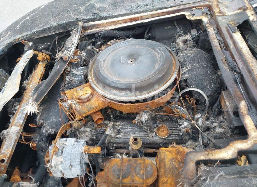 Photo 10 of 1981 Chevrolet Corvette (VIN 1G1AY8760BS430696)