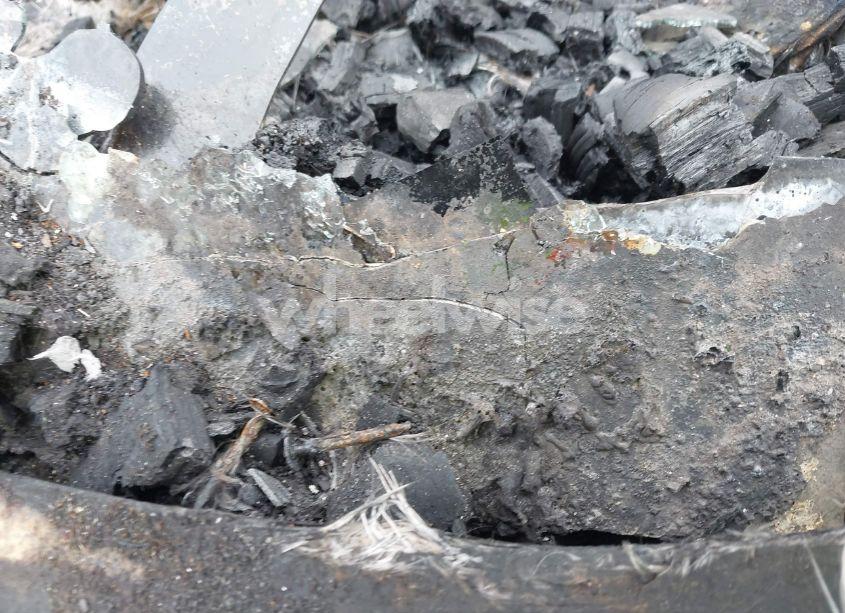 Photo 9 of 1981 Chevrolet Corvette (VIN 1G1AY8760BS430696)