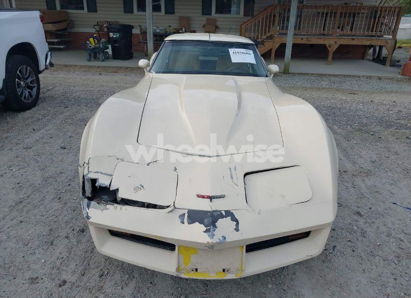 Photo 12 of 1981 Chevrolet Corvette (VIN 1G1AY8768BS424662)