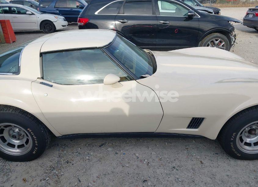 Photo 13 of 1981 Chevrolet Corvette (VIN 1G1AY8768BS424662)