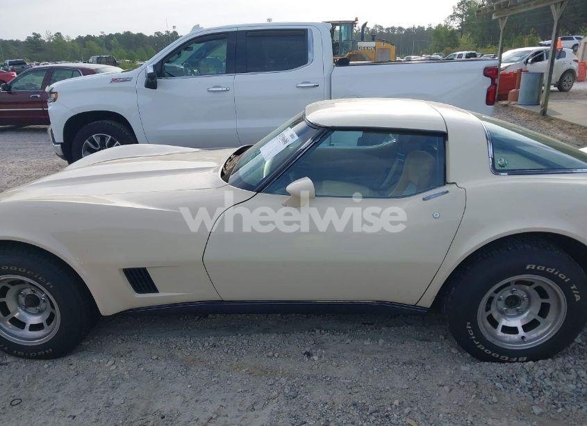 Photo 14 of 1981 Chevrolet Corvette (VIN 1G1AY8768BS424662)