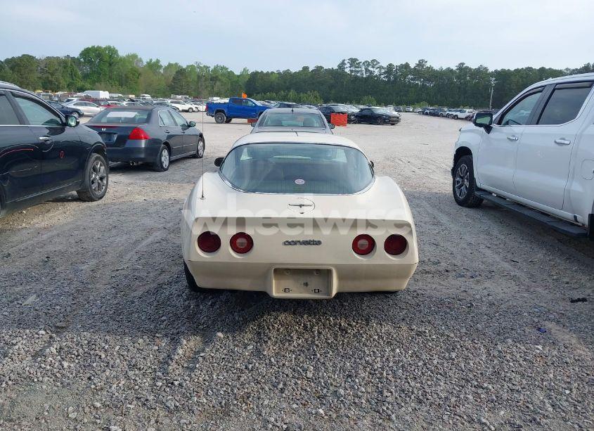 Photo 16 of 1981 Chevrolet Corvette (VIN 1G1AY8768BS424662)