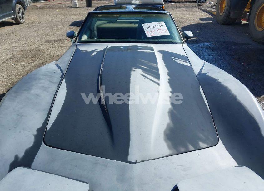 Photo 10 of 1981 Chevrolet Corvette (VIN 1G1AY8769BS408941)