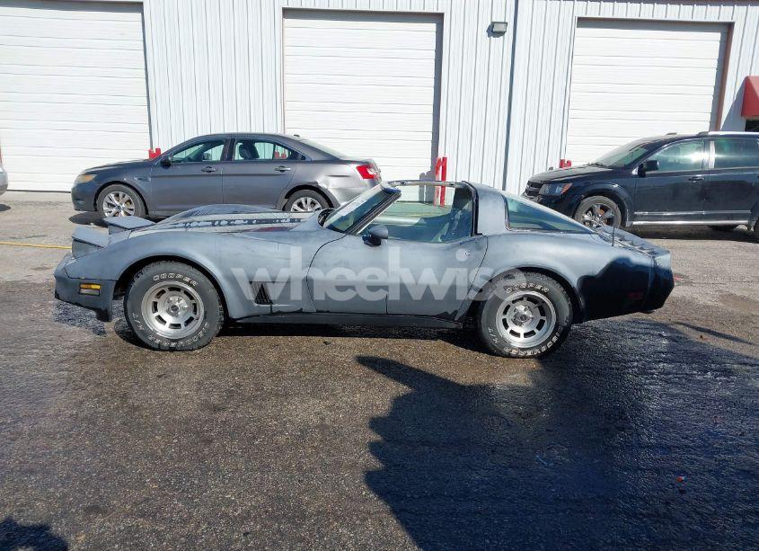 Photo 13 of 1981 Chevrolet Corvette (VIN 1G1AY8769BS408941)