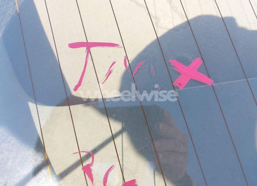 Photo 6 of 1981 Chevrolet Corvette (VIN 1G1AY8769BS408941)