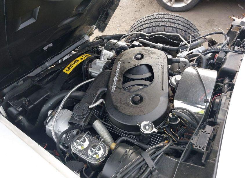 Photo 10 of 1982 Chevrolet Corvette (VIN 1G1AY8785C5116270)