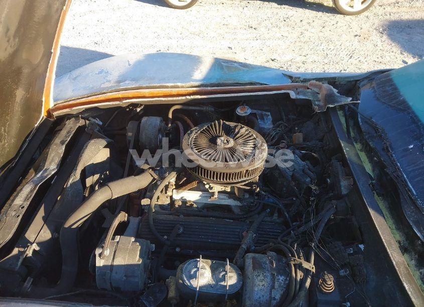 Photo 10 of 1982 Chevrolet Corvette (VIN 1G1AY878XC5111467)