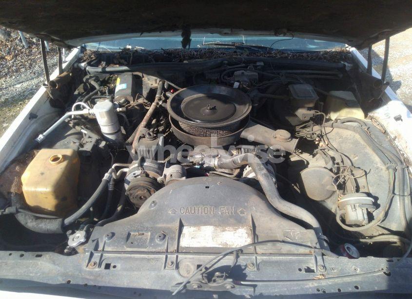 Photo 10 of 1989 Chevrolet Caprice CLASSIC BROUGHAM (VIN 1G1BU51E8KR193946)