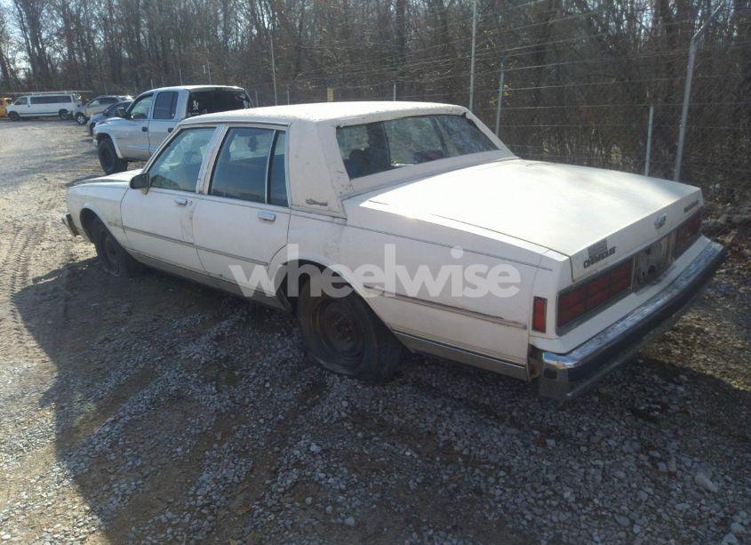 Photo 3 of 1989 Chevrolet Caprice CLASSIC BROUGHAM (VIN 1G1BU51E8KR193946)