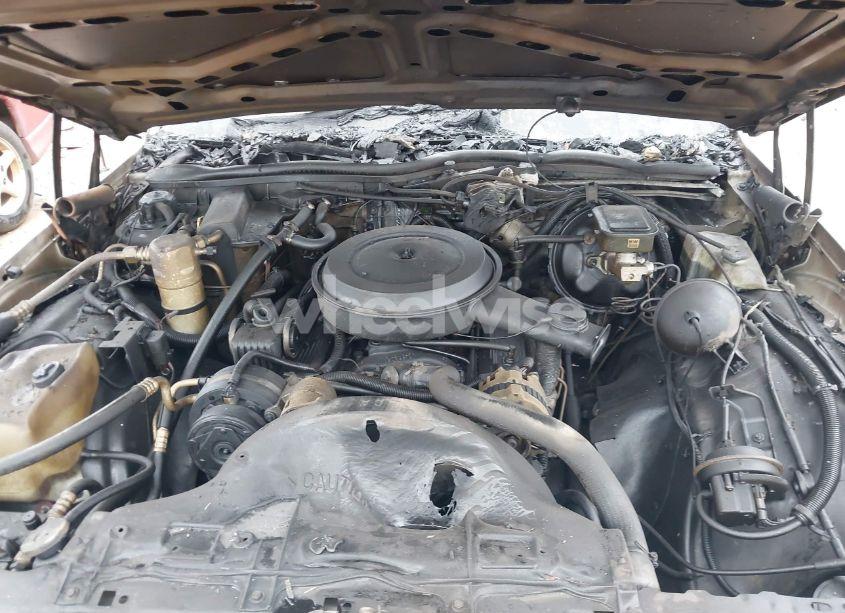 Photo 10 of 1990 Chevrolet Caprice CLASSIC BROUGHAM (VIN 1G1BU54EXLA109430)