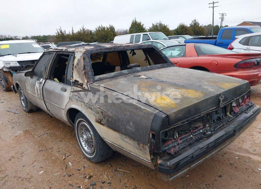 Photo 3 of 1990 Chevrolet Caprice CLASSIC BROUGHAM (VIN 1G1BU54EXLA109430)