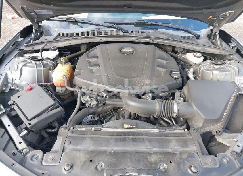 Photo 10 of 2019 Chevrolet Camaro 1LT (VIN 1G1FB1RS7K0113678)