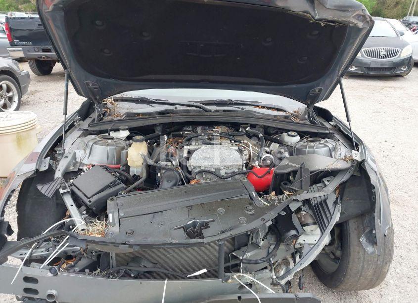 Photo 10 of 2020 Chevrolet Camaro RWD 1LS (VIN 1G1FB1RX5L0144361)