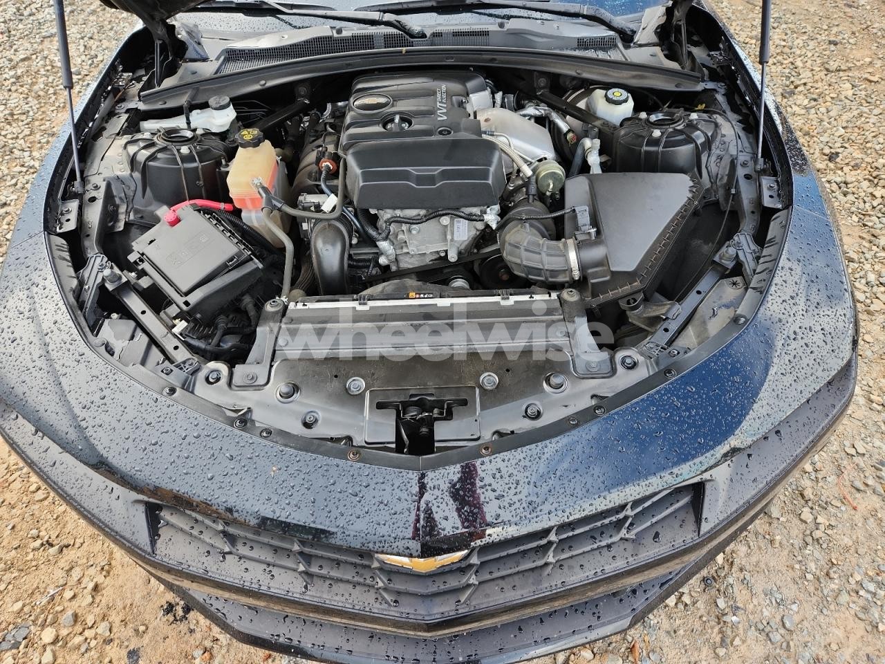 Photo 11 of 2019 CHEVROLET CAMARO LS (VIN 1G1FB1RX8K0111725)