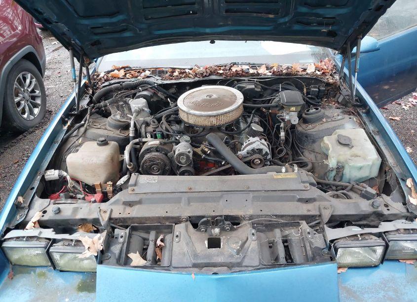 Photo 10 of 1988 Chevrolet Camaro (VIN 1G1FP2180JL147532)